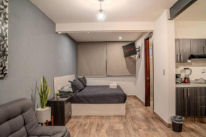 Loft Moderno Boulevard (suite 3)